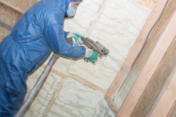 Best Insulation Air Sealing  in Southside Place, TX