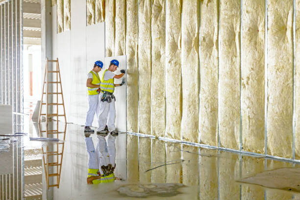 Best Reflective Insulation  in Southside Place, TX